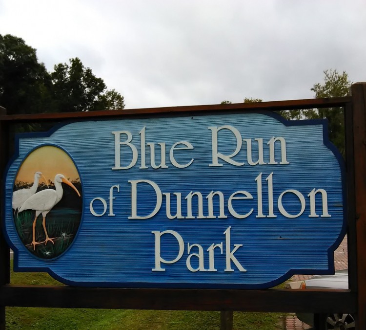Blue Run of Dunnellon Park (Dunnellon,&nbspFL)